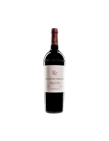 PAGO DE LOS CAPELLANES CRIANZA 2019