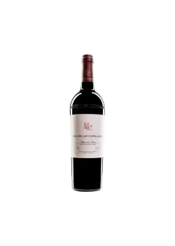 PAGO DE LOS CAPELLANES CRIANZA MAGNUM